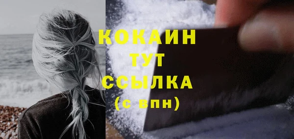 экстази Ельня
