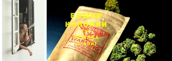 экстази Ельня