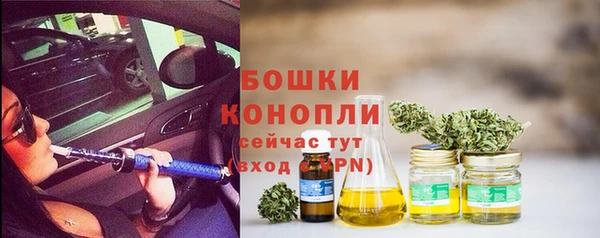 экстази Ельня