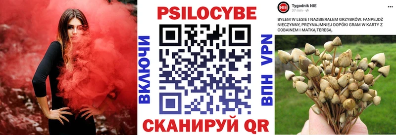 Псилоцибиновые грибы Cubensis  Купить где  Ханты-Мансийск 